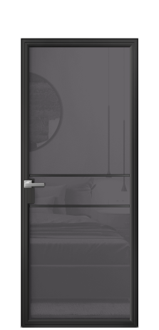 Дверь межкомнатная Frame 02 Цвет Черный Покрытие Алюминий  Наличник Скрытый короб Цена 71570