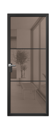 Дверь межкомнатная Frame 03 Цвет Черный Покрытие Алюминий  Наличник Скрытый короб Цена 66488
